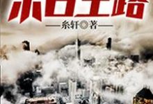 《重生之末日王路》全集免费在线阅读（叶风夏浅沫吕圣乾飞）-百合文学