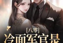 完结版《八零:冷面军官是宠妻狂魔》在线免费阅读-百合文学